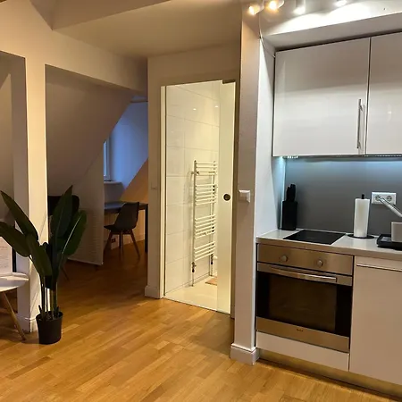 Bella - Business&family Ap 16, 100m Vom Konzerteingang Schloss, Parkplatz, Smarttv, Netflix, Waschmaschine, 24h Checkin, 46qm Apartmán Ludwigsburg