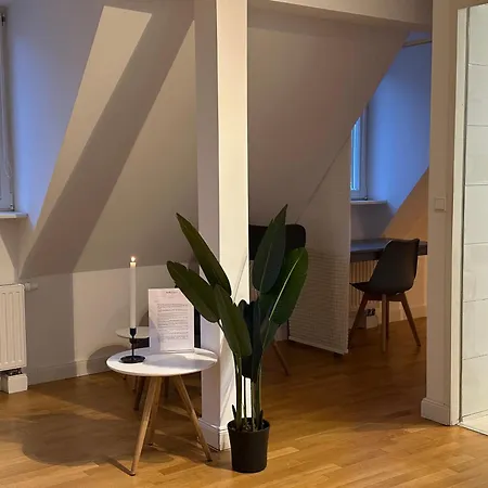 公寓 Bella Casa - Business&family, 100m Vom Konzerteingang Schloss, Parkplatz, Smarttv, Netflix, Waschmaschine, 24h Checkin, 46qm, Ap 16 路德维希堡