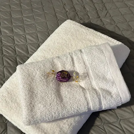 Apartmán Bella - Business&family Ap 16, 100m Vom Konzerteingang Schloss, Parkplatz, Smarttv, Netflix, Waschmaschine, 24h Checkin, 46qm Ludwigsburg